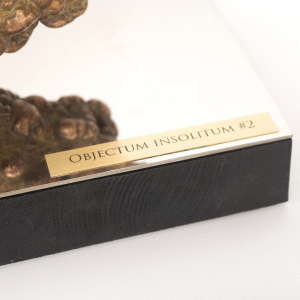 Author's bronze sculpture "Unidentified object #2"